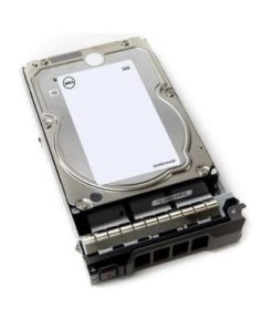 Dell 10TB Near Line SAS 12gbps 512E 7.2K 3.5" Fully assembled (Hot Plug) Server Hard Drive