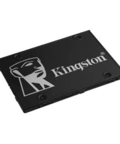 Kingston OTCS1S3256Q-B00 2.5" 7mm 256GB SSD