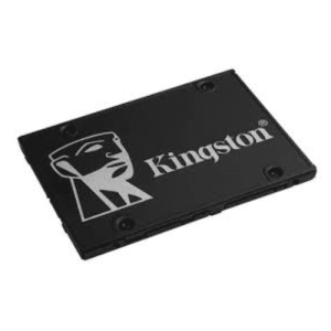 Kingston OTCS1S3256Q-B00 2.5" 7mm 256GB SSD