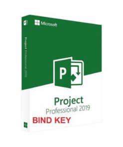 Microsoft Project Professional 2019 Bind Key