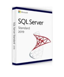 Microsoft SQL Server 2010/2013/2016/2019 Standard Retail Key