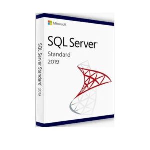 Microsoft SQL Server 2010/2013/2016/2019 Standard Retail Key