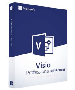 Microsoft Visio Professional 2019 Key