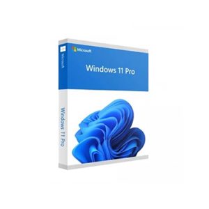 Microsoft-Windows-11-Pro-Professional-64-Bit-OS