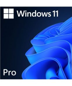 Microsoft Windows 11 Professional 64 Bit ENG DSP OEI DVD