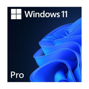 Microsoft Windows 11 Professional 64 Bit ENG DSP OEI DVD