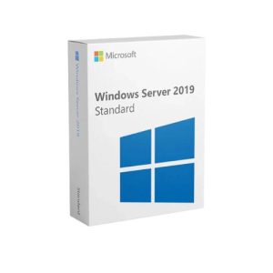 Microsoft Windows Server 2019 Standard OEI DVD