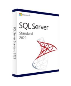 SQL Server 2022 Standard/Enterprise/Developer Retail Key