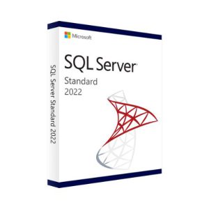 SQL Server 2022 Standard/Enterprise/Developer Retail Key