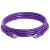 Safenet 1 Meter Cat6 LSZH UTP Patch Cord Purple