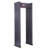 SecuScan AT-IIIA Walk Through Metal Detector