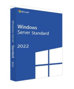 WINDOWS SVR STD 2022 64BIT ENGLISH 1PK DVD