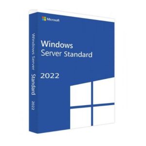 WINDOWS SVR STD 2022 64BIT ENGLISH 1PK DVD