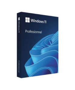 Windows 11 Pro 64Bit Eng Intl 1pk DSP OEI DVD