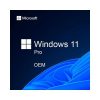 Windows 11/10 Pro OEM Key