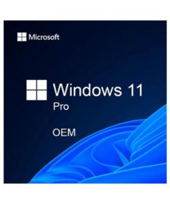 Windows 11/10 Pro OEM Key